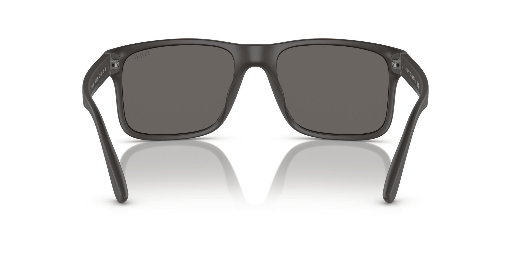 Polo Ralph Lauren PH4195U 500187 back with shade