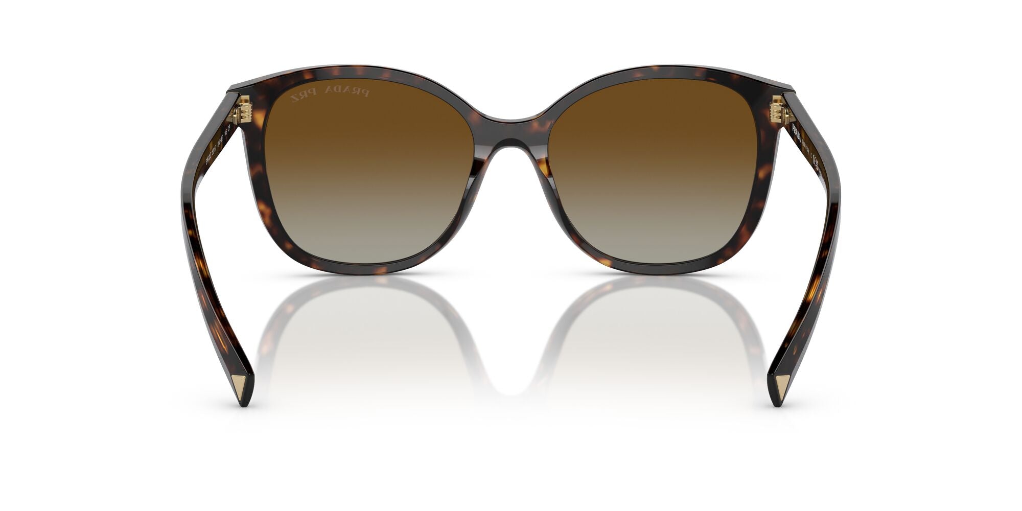 Prada PR 22ZS 2AU6E1 Tortoise 53mm Sunglasses