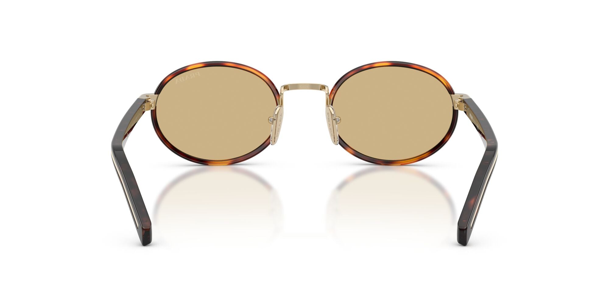 PRADA, 0PR B56S, 21E10R Root Tortoise, 52