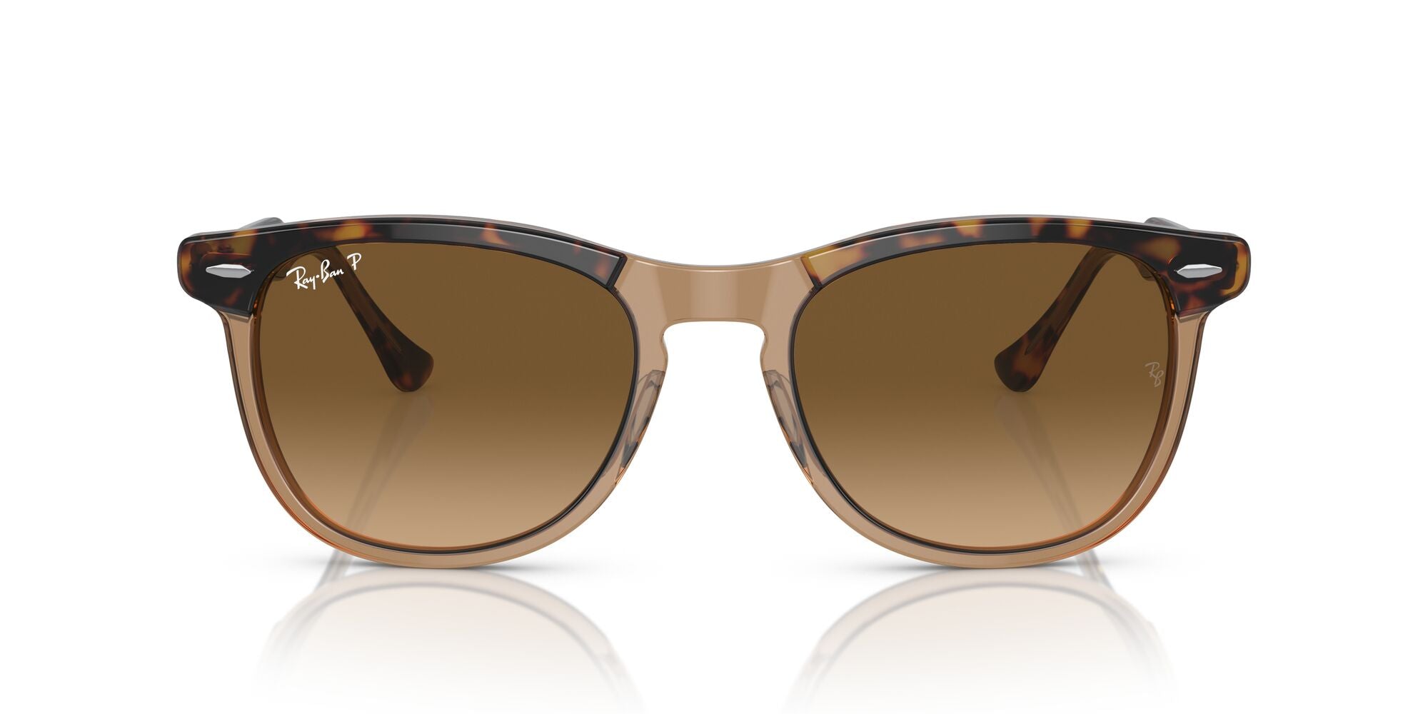 RAY-BAN EAGLEEYE, 0RB2398, 1292M2 Havana On Transparent Brown, 56