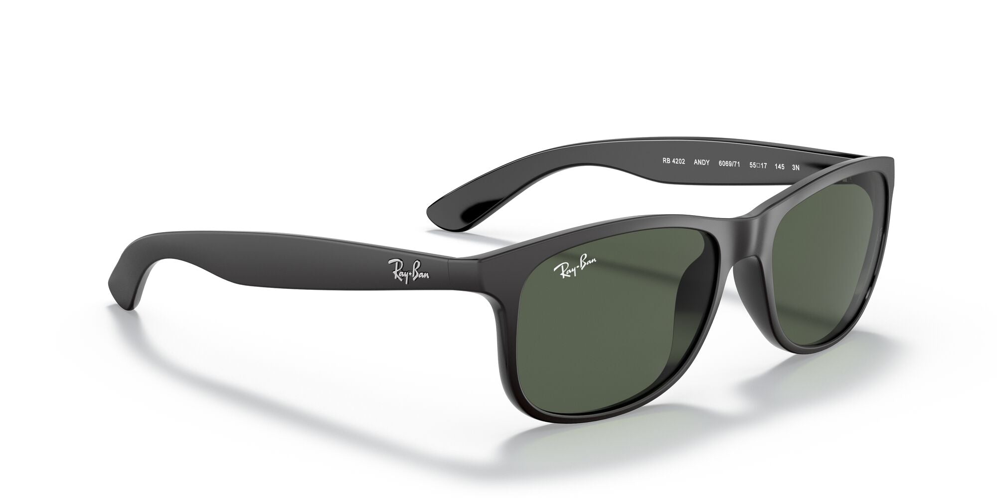 Ray-Ban Andy RB4202 606971 Black 55mm | Eye Concepts Australia