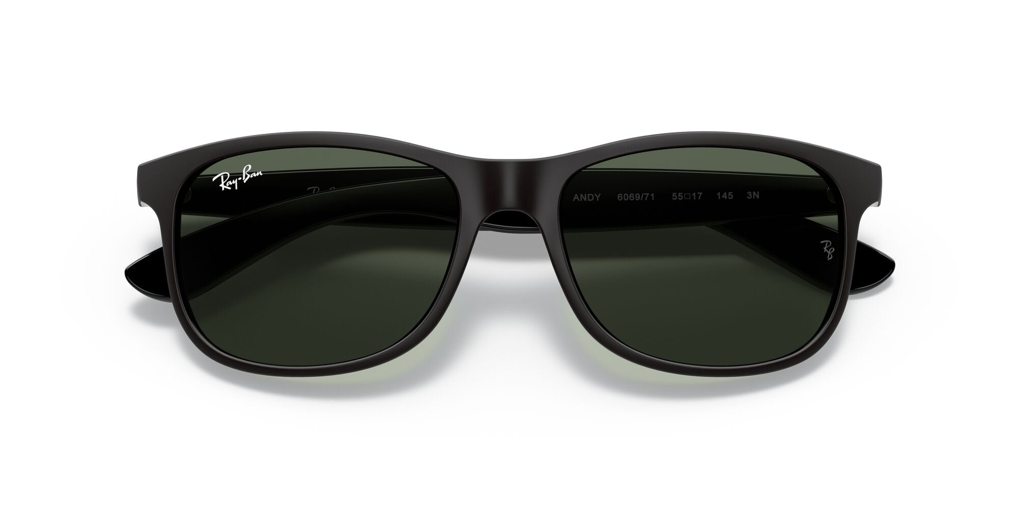 Ray-Ban Andy RB4202 606971 Black 55mm | Eye Concepts Australia