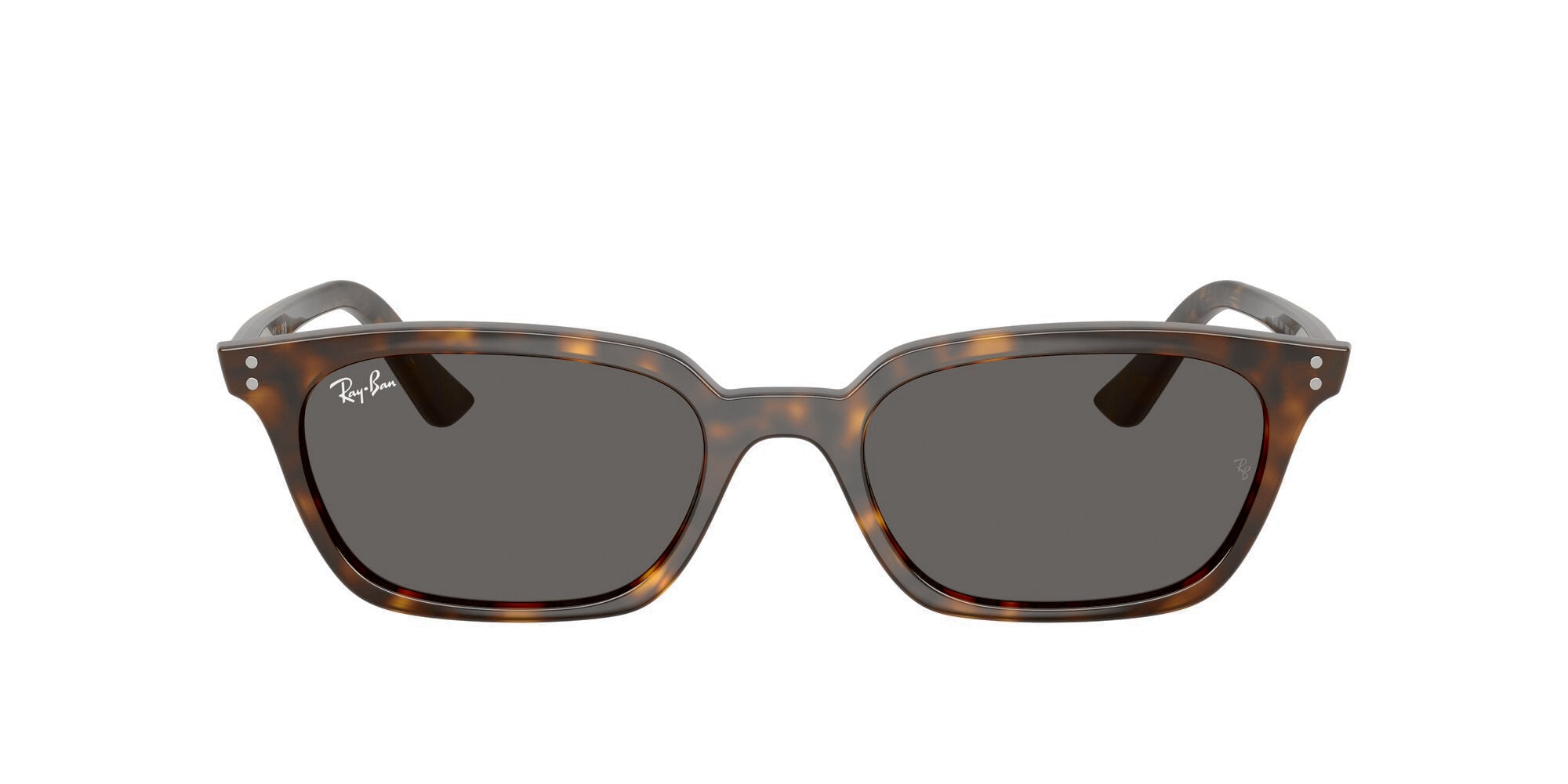 Ray-Ban RB4456 135987 Striped Blue Havana / Dark