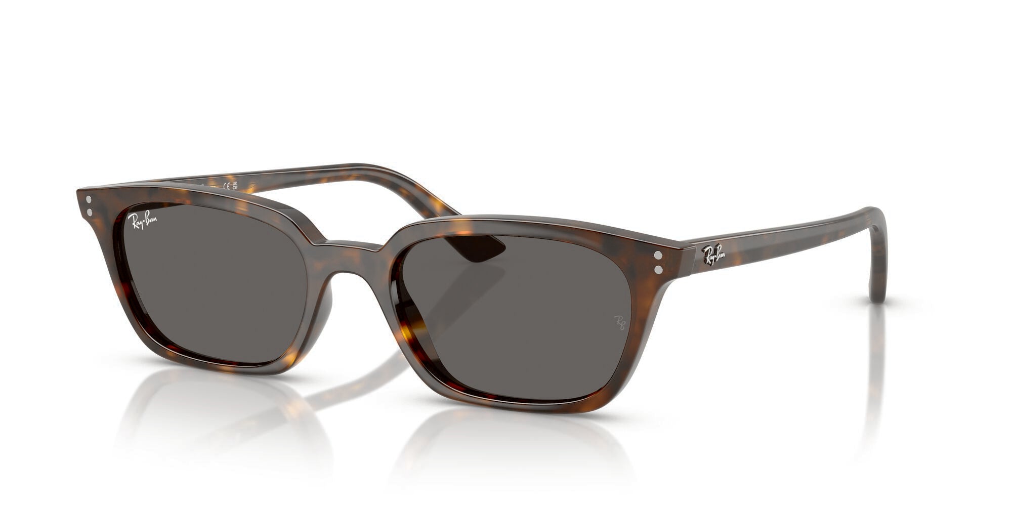 Ray-Ban RB4456 135987 Striped Blue Havana / Dark