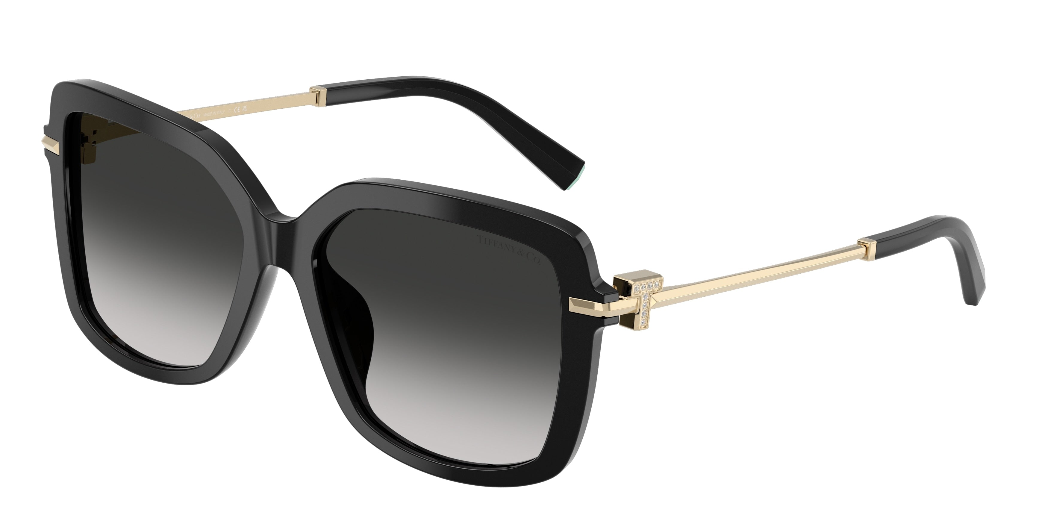 Tiffany & Co. TF4252B Black 55mm Sunglasses