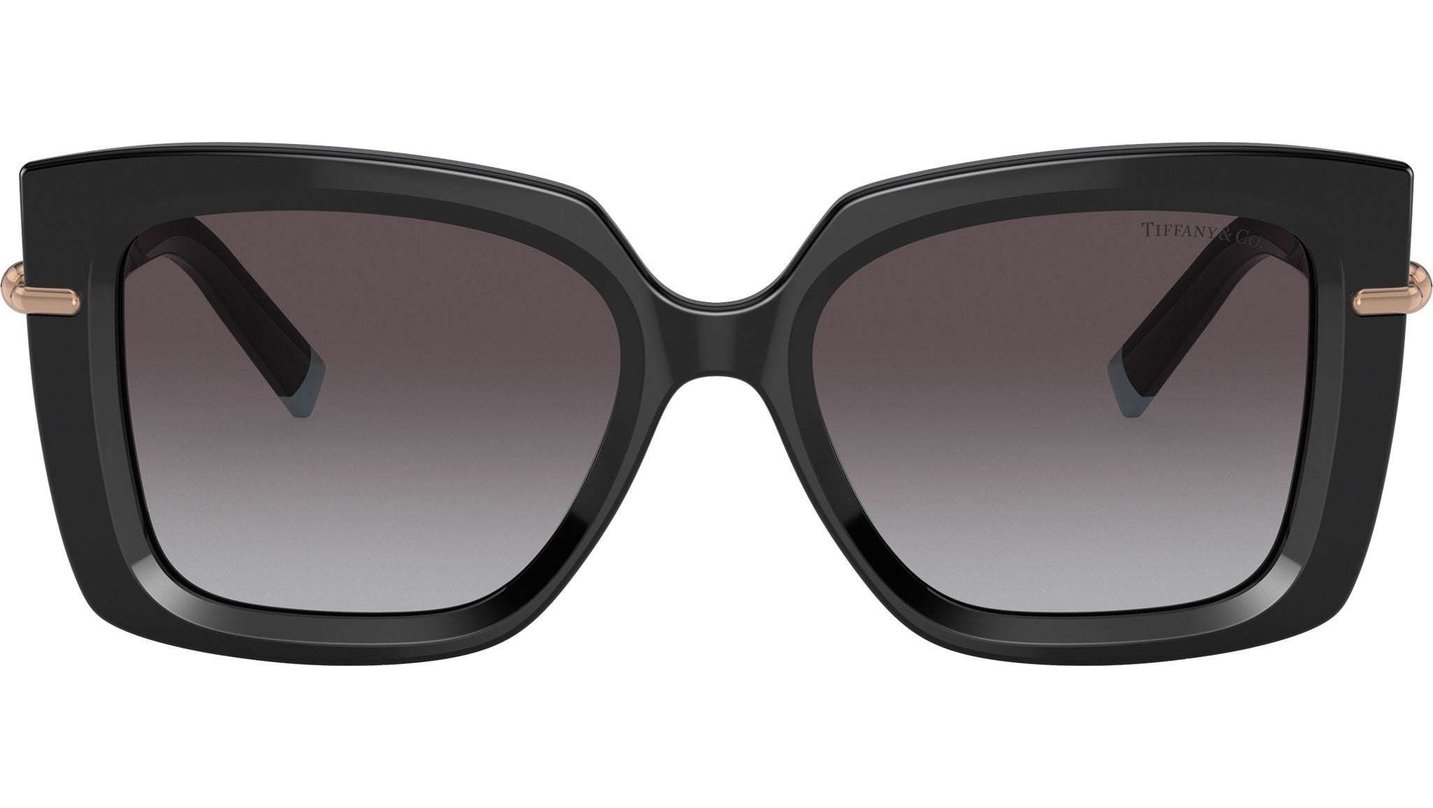 Tiffany & Co. TF4199 Black 53mm Sunglasses