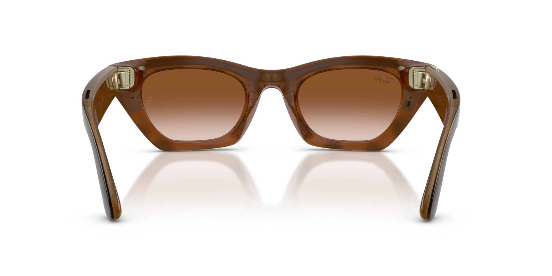 Ray-Ban Meta Zena (Gen 3) Havana / Gradient Brown