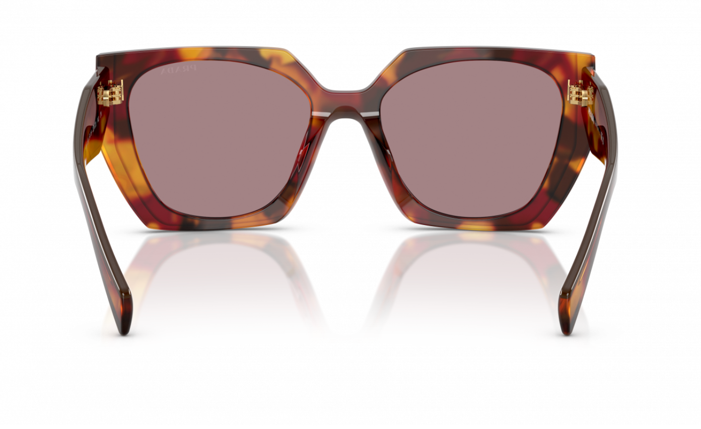 Prada PR 15WS 22A20I Poppy Tortoise 54mm Sunglasses