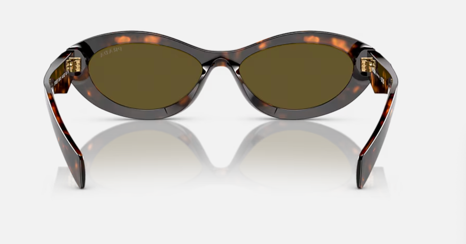 Prada PR 26ZSF 14L09Z Sage/Honey Tortoise 56mm Sunglasses | Eye Concepts Australia