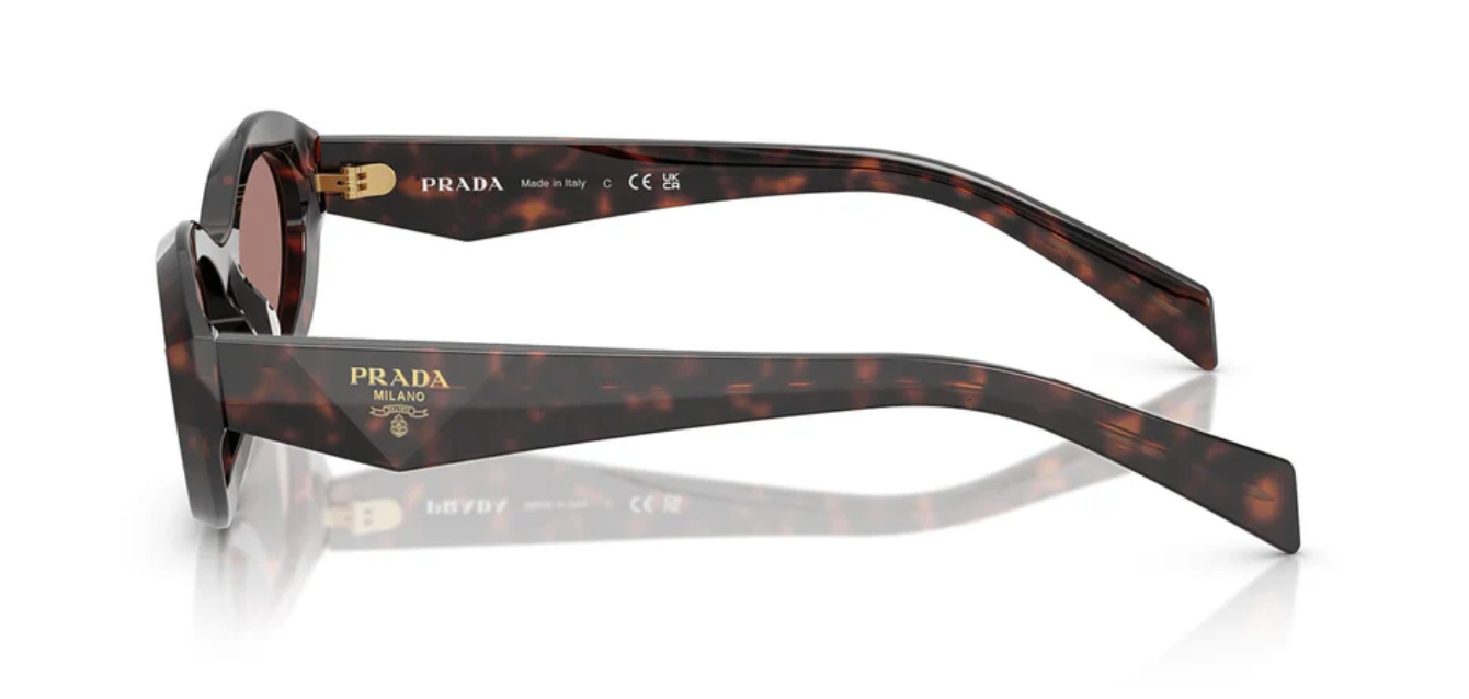 Prada PR 26ZS 17N60B Root Tortoise 55mm Sunglasses