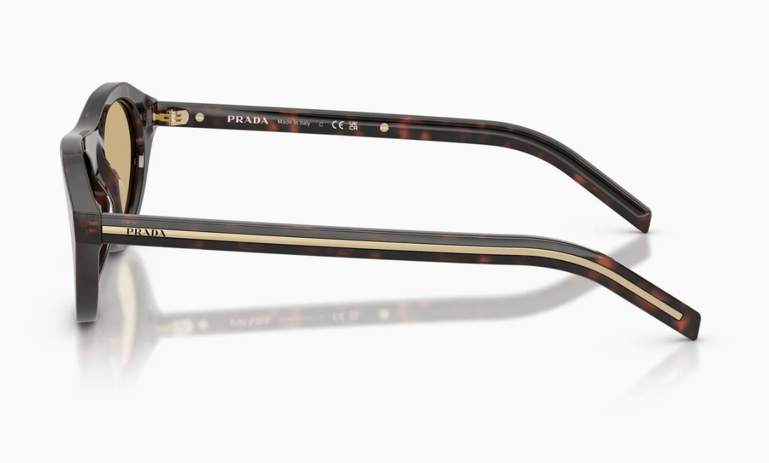 Prada PR B15SF 17N70R Root Tortoise 52mm Sunglasses