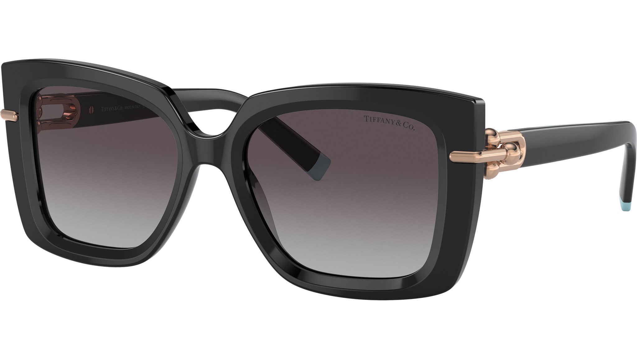 Tiffany & Co. TF4199 Black 53mm Sunglasses