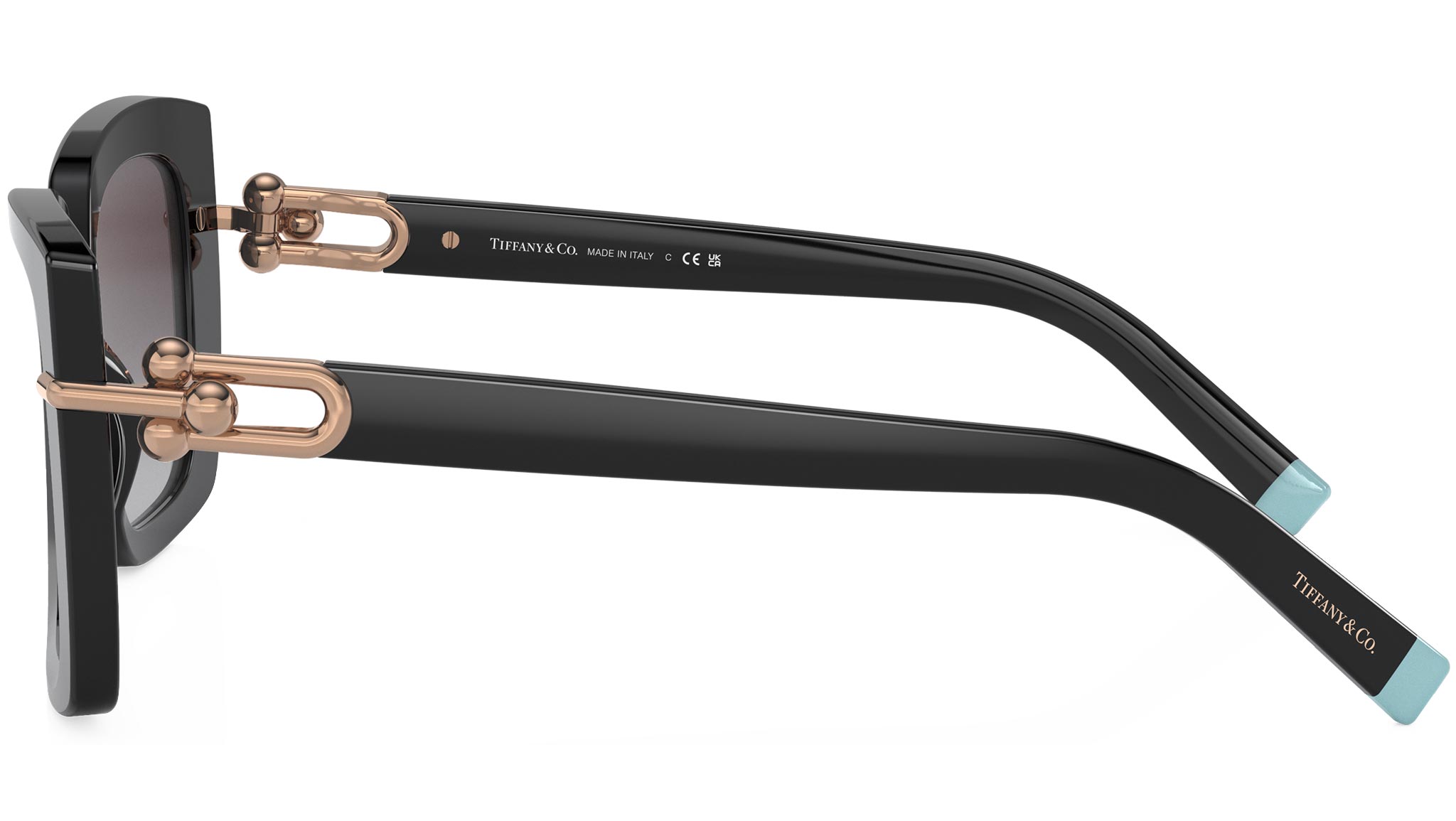 Tiffany & Co. TF4199 Black 53mm Sunglasses